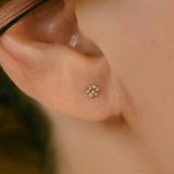 K10 Diamond Paw Pads