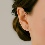 K10/Pt Diamond Xamsa