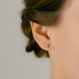 K10/Pt Diamond Xamsa