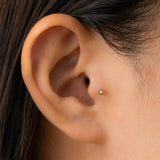 トラガスファーストピアス