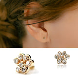 K10 Diamond Paw Pads