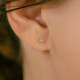 K10pg/Pt Diamond Topaz