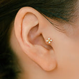 K18 Enamel