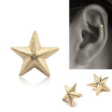 可愛い星のピアス