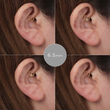 K18/Pt Segment Ring Barbell 14G/16G