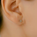 Pt Diamond Flower