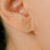 K10 Diamond