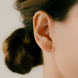 K10 Colored Stone Star