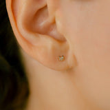 K10 Diamond Cat