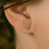 K18/Pt Diamond