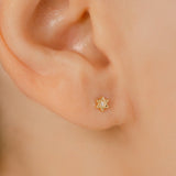 K18/Pt Diamond Star